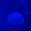 青の世界 1