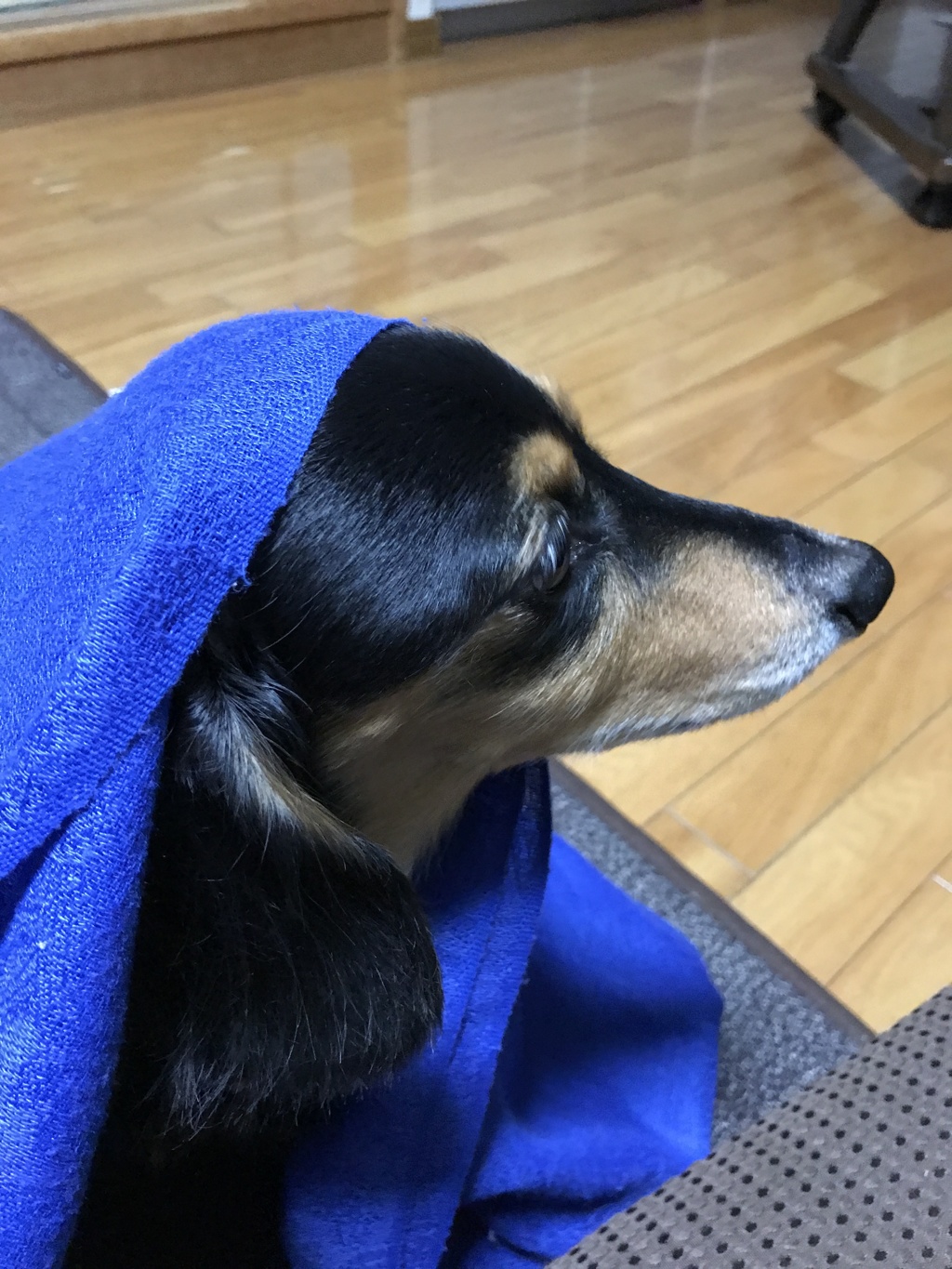 ブルー似合いますか？