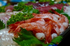 富山湾の恵み
