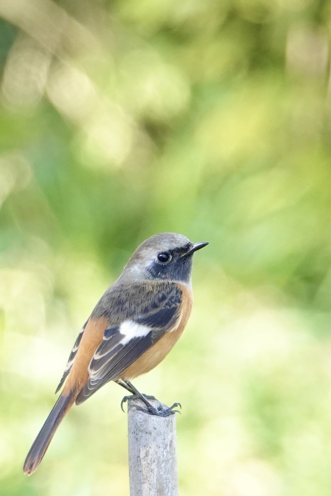 昨日は暖かくて