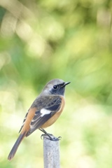 昨日は暖かくて