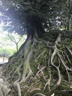 兼六園2