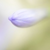 涼しさを求めて