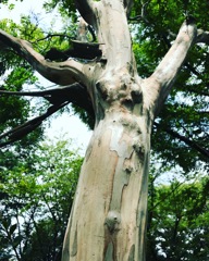 うーーっん、今年の夏も暑かったわー