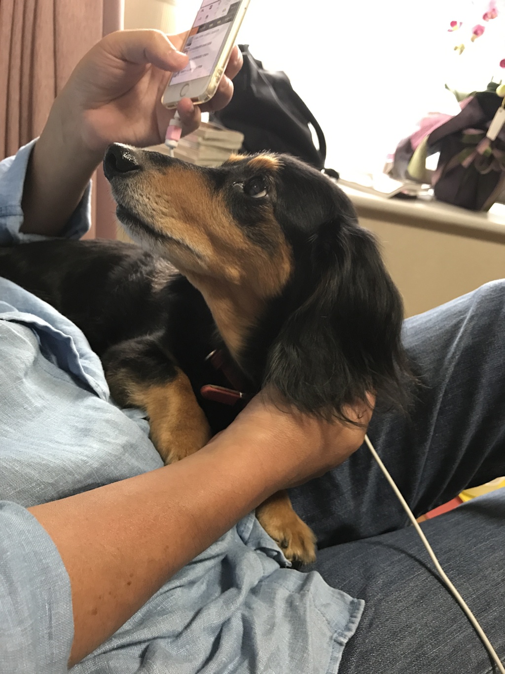 また、スマホ？