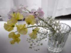 1月最後の日にきた君達はまだ楽しませてくれて。