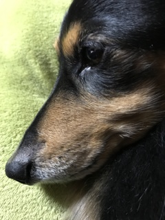 見てるよね。