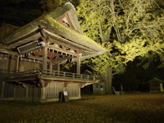 玉敷神社 神楽殿の夜 2