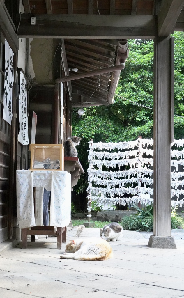 神社にて
