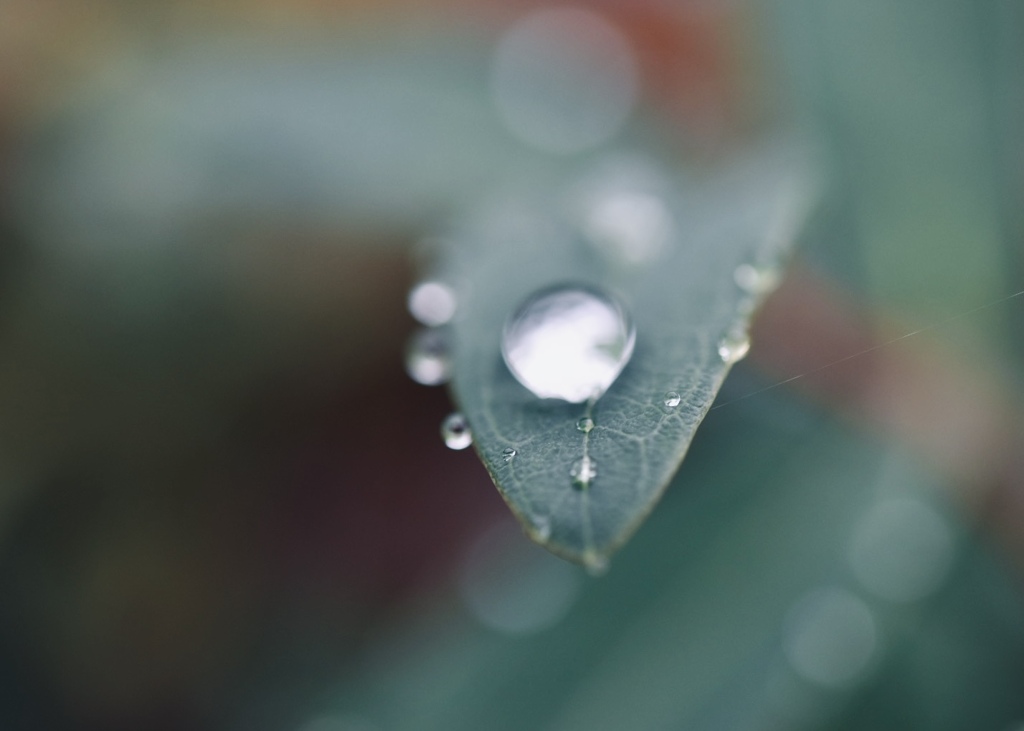 優しい雨の忘れもの