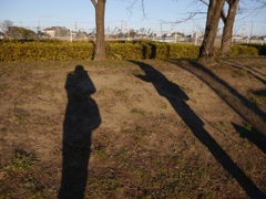 散歩中にポケモンを捕まえる旦那さん。