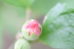 今日は寒くて。