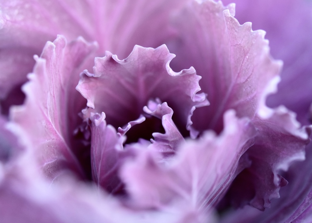 君に出会う季節に