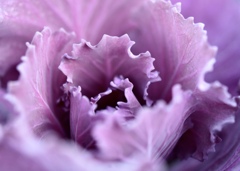 君に出会う季節に