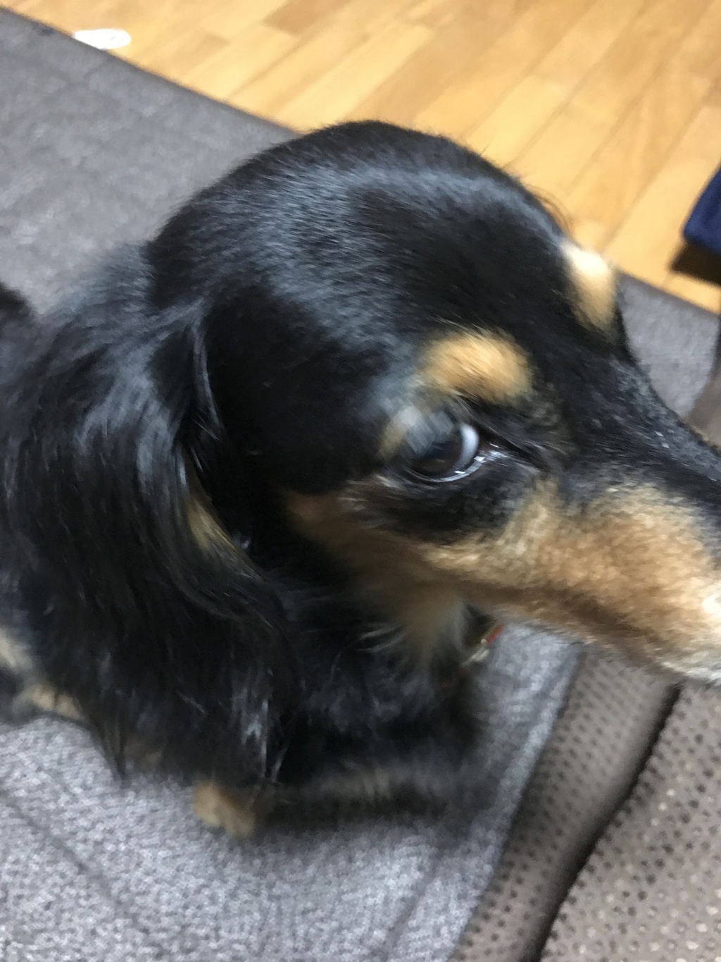 なによー。