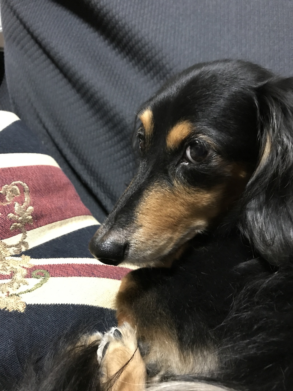 何！また撮ってるの？