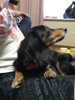 そうだよね〜