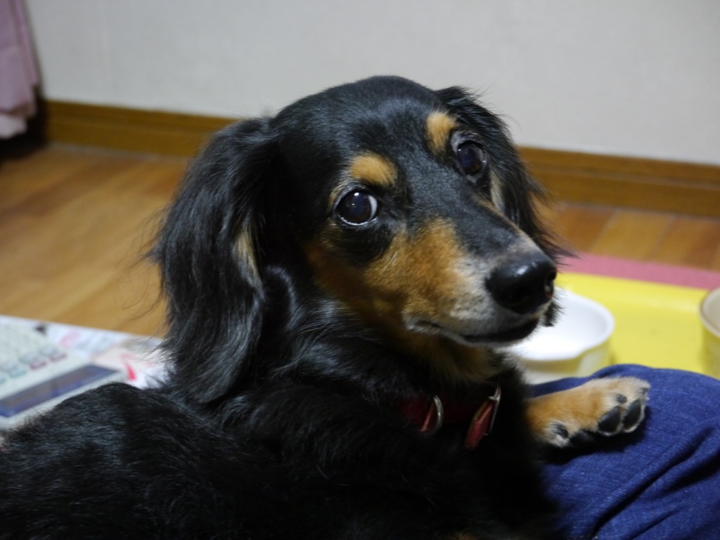 んっ？私のこと呼んだ？