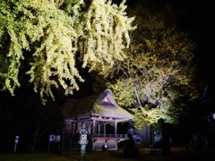 玉敷神社 神楽殿の夜