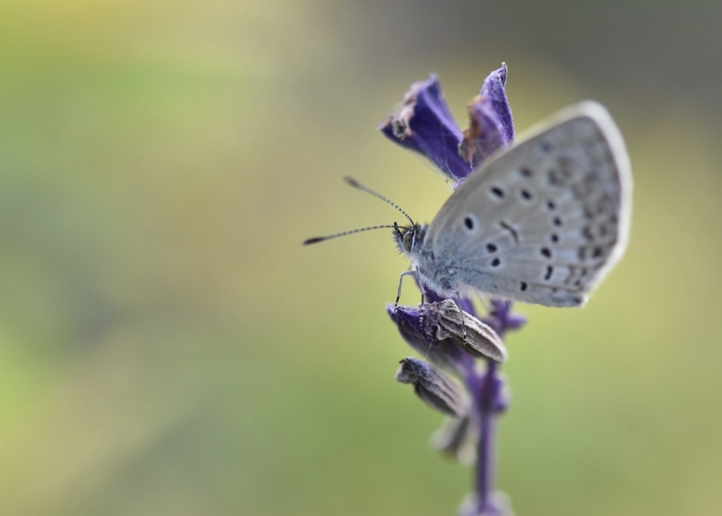 ひと息ついていました