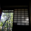 日本家屋からの眺めも素敵です。