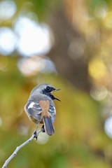 おかえりなさい〜待ってたよ