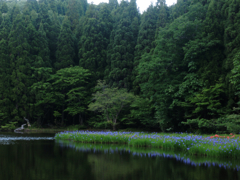 DSCN0094