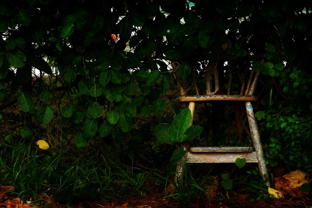 Old Chair