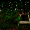 Old Chair