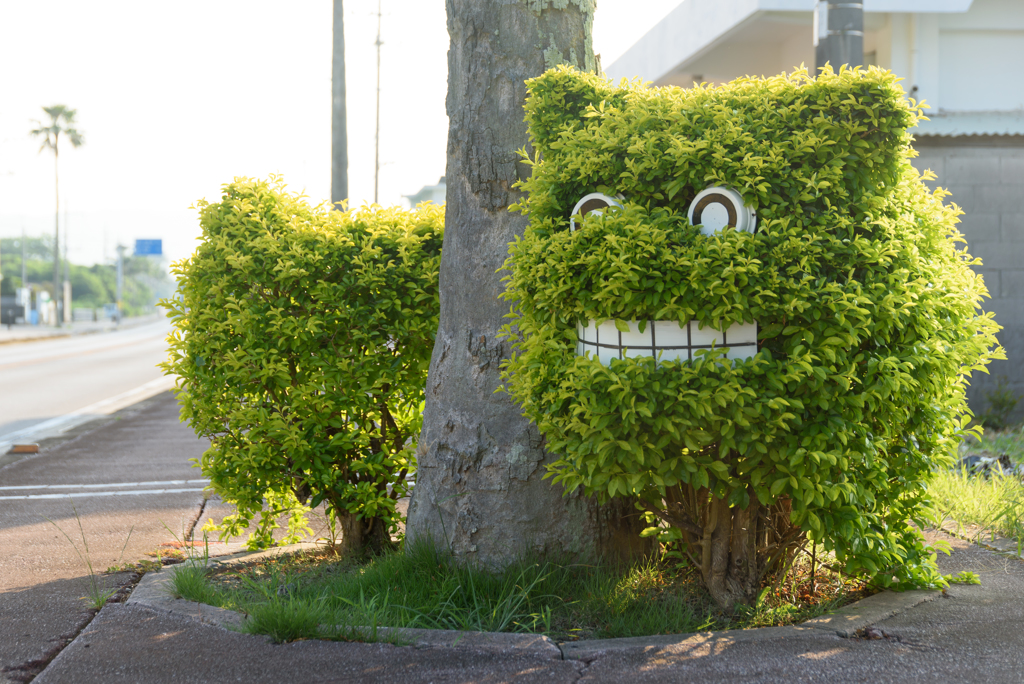 シーサー