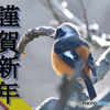謹賀新年