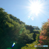 眩しい太陽