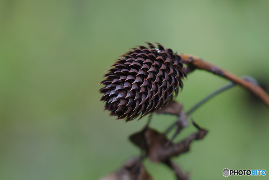 刺々しい雰囲気