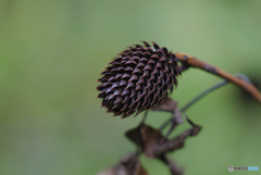 刺々しい雰囲気