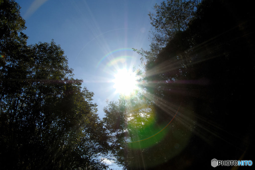 太陽の光