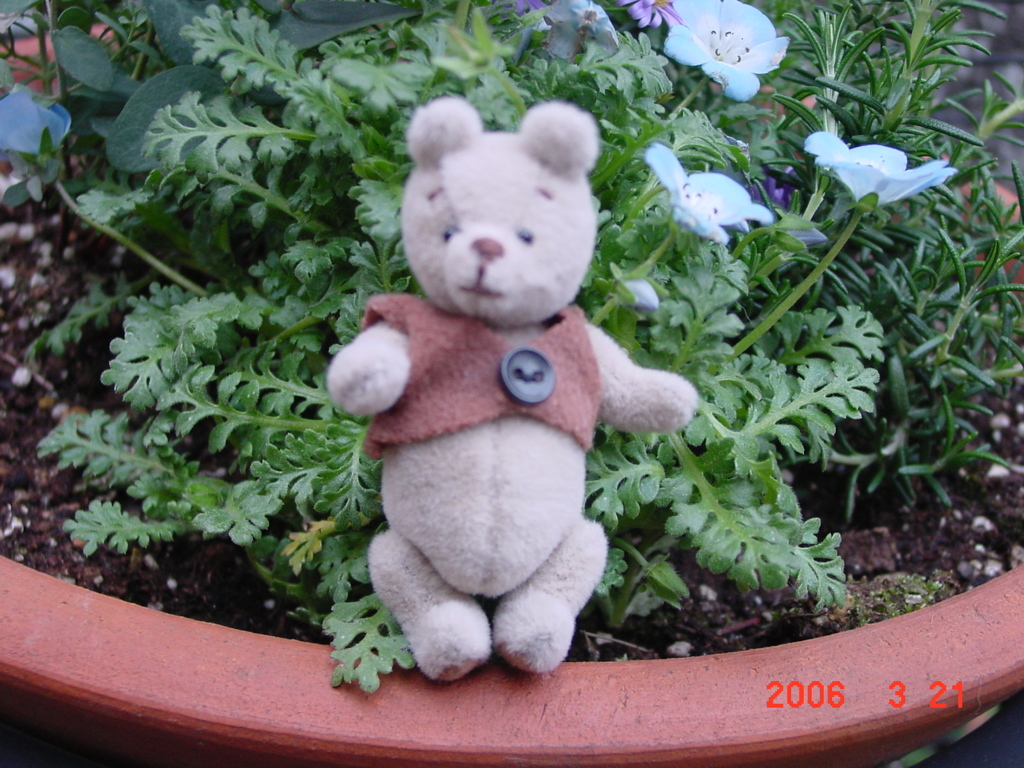 DSC00002