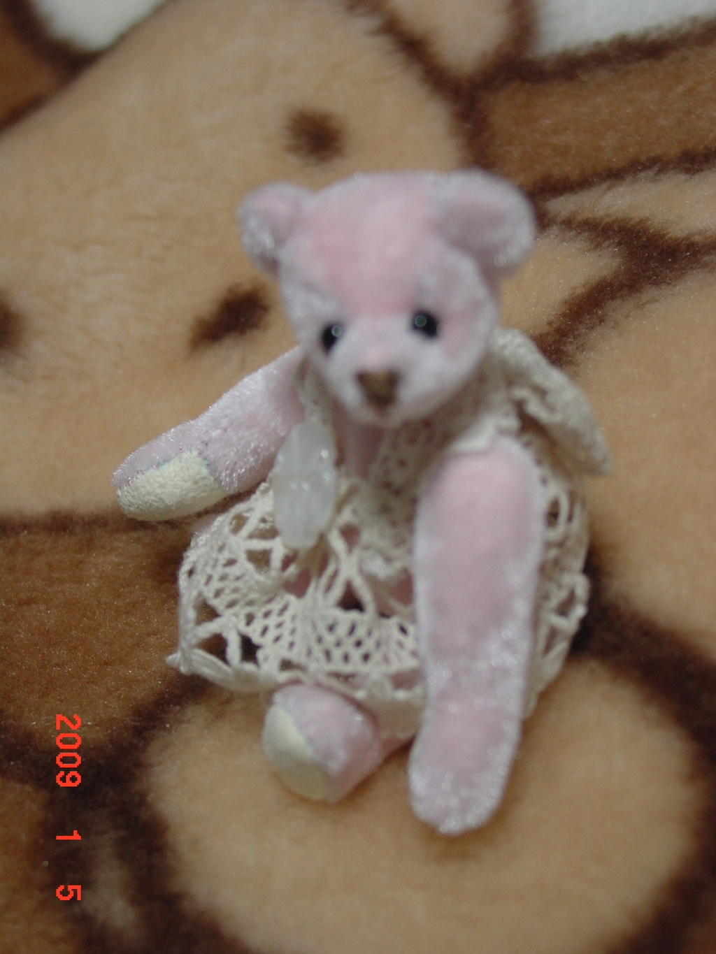 DSC00002