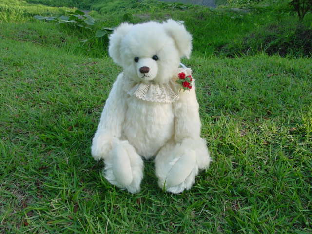 DSC00024