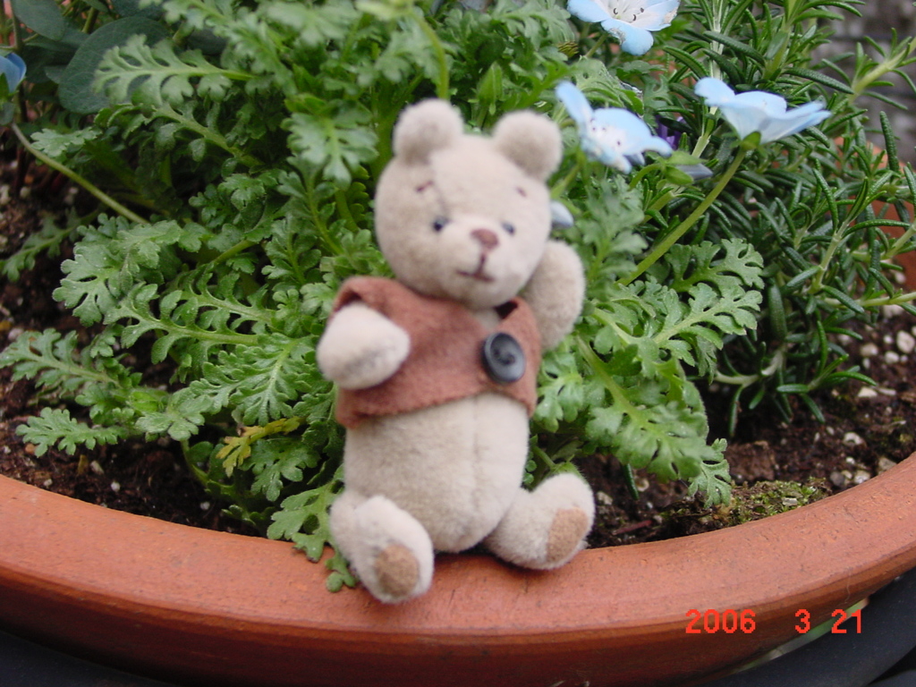 DSC00005