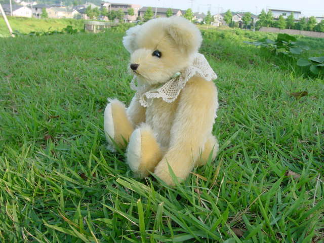 DSC00018