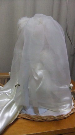 DSCF1437