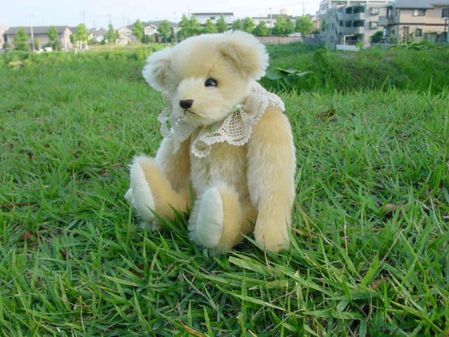 DSC00017