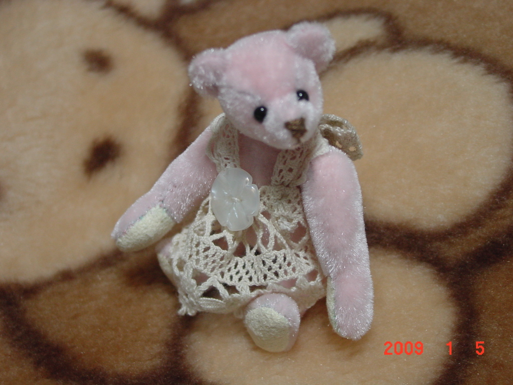 DSC00004