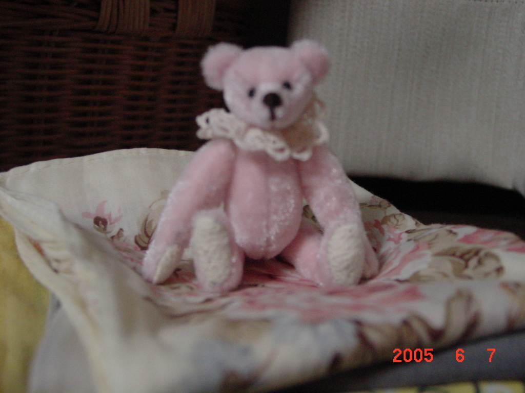 DSC00001