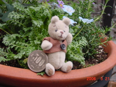 DSC00006
