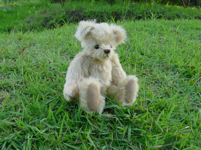 DSC00011
