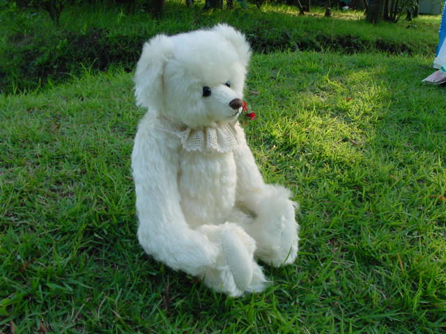 DSC00025