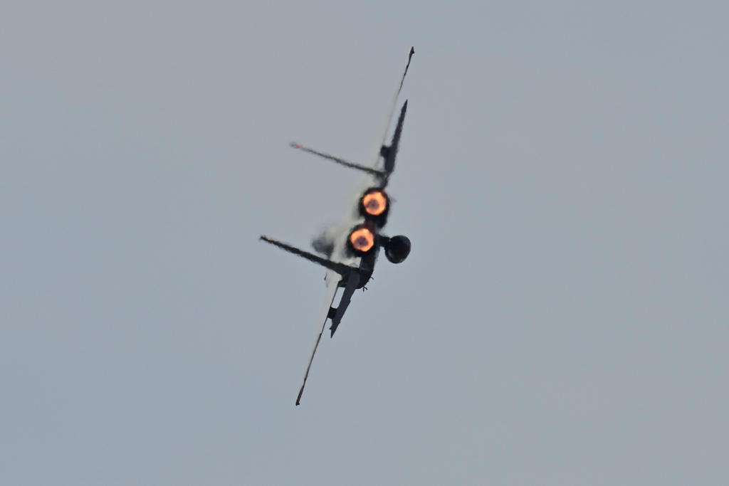 DSC_2925