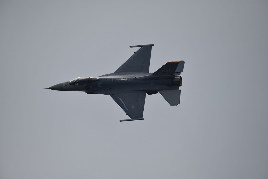 DSC_3084