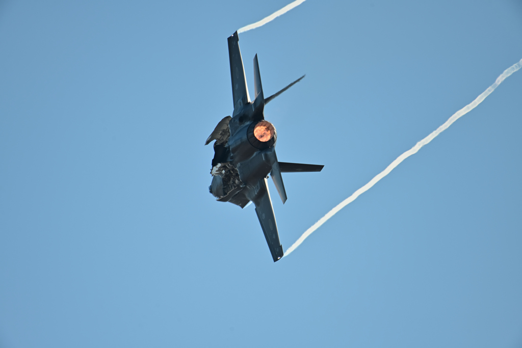 DSC_1600